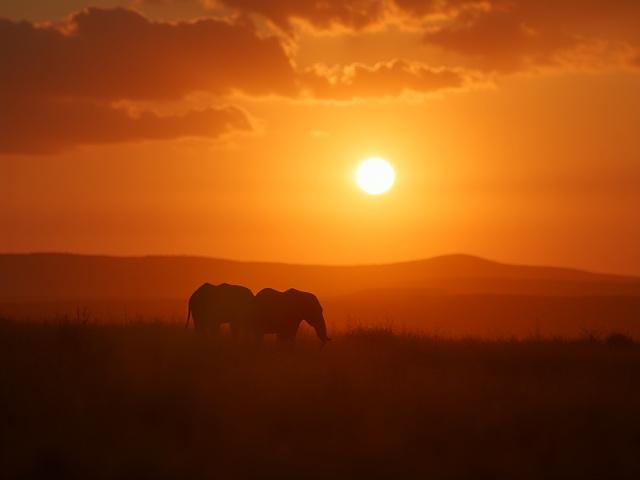 Exklusiv safari lodge i Tanzania